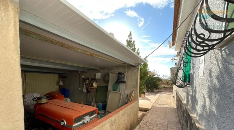 Murcia - Фуэнте Аламо де Мурсия - 17000m2