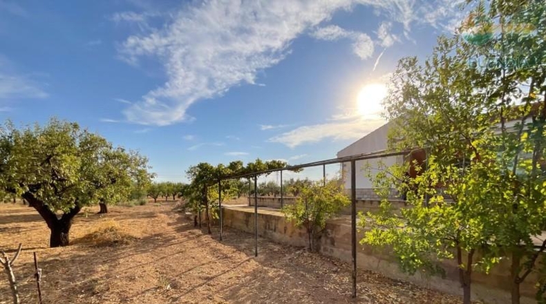 Murcia - Фуэнте Аламо де Мурсия - 17000m2