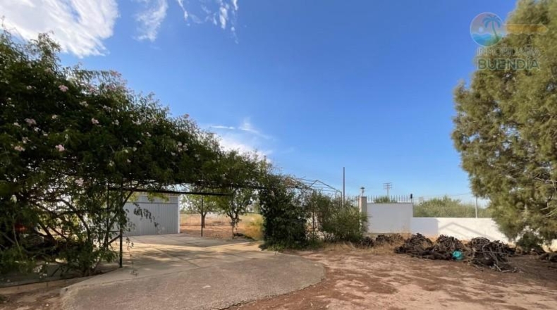 Murcia - Фуэнте Аламо де Мурсия - 17000m2