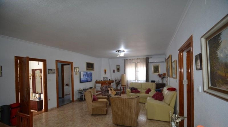 Alicante - Crevillent - 16294m2