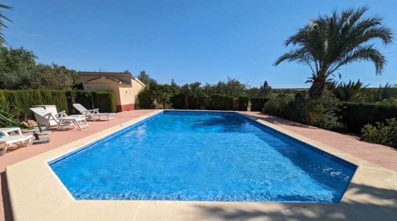 Alicante - Crevillent - 12131m2