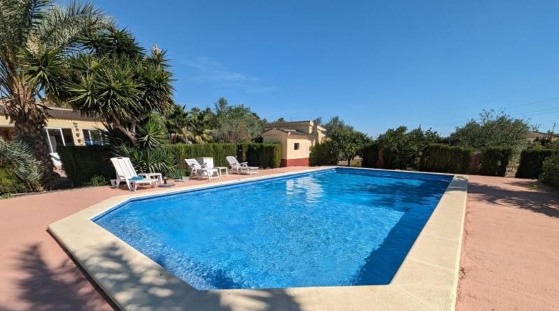 Alicante - Crevillent - 12131m2