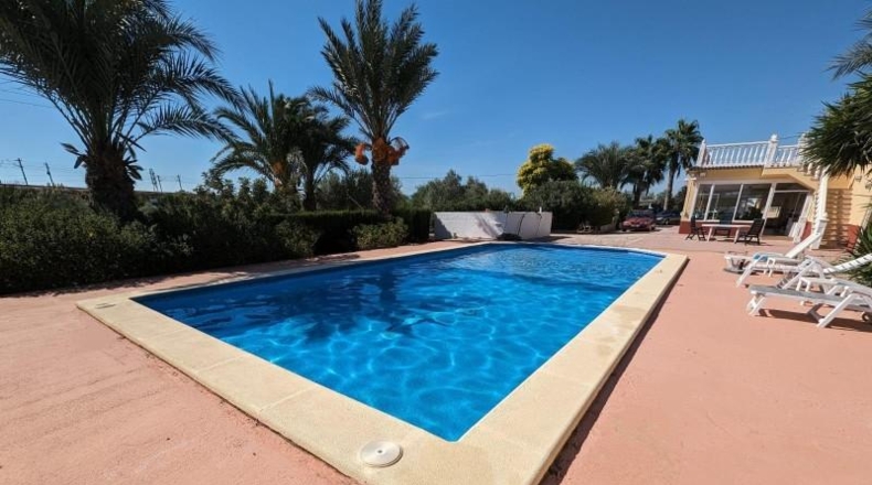 Alicante - Crevillent - 12131m2