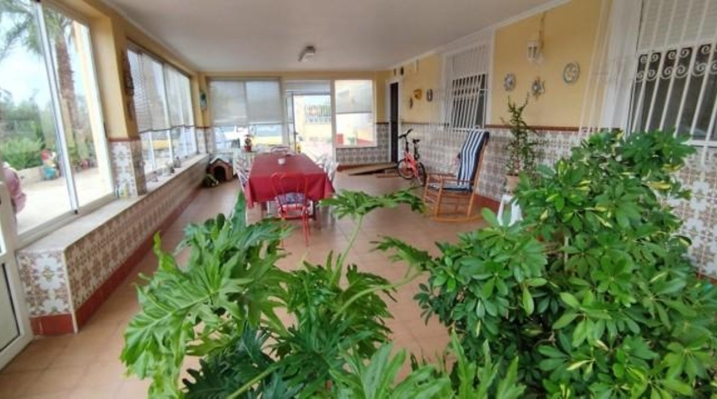 Alicante - Crevillent - 12131m2
