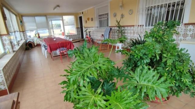 Alicante - Crevillent - 12131m2
