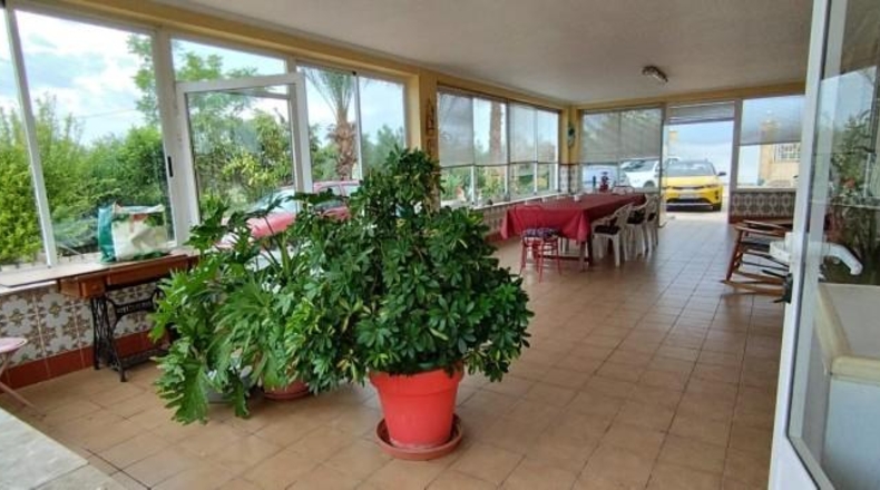 Alicante - Crevillent - 12131m2