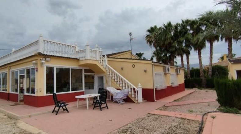 Alicante - Crevillent - 12131m2
