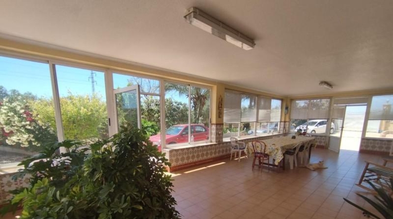 Alicante - Crevillent - 12800m2