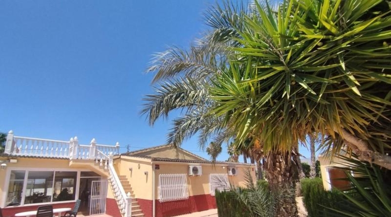 Alicante - Crevillent - 12800m2