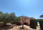 Chalet independiente con terreno en venta en la España, Crevillente, ref: TR162487 foto