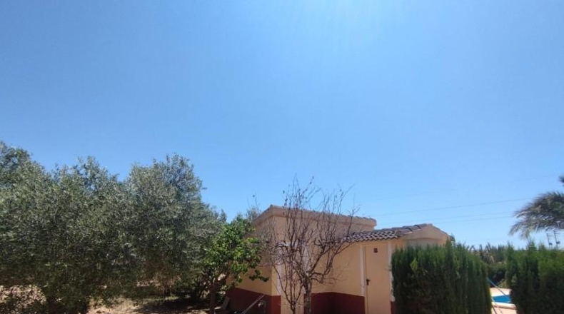 Alicante - Crevillent - 12800m2