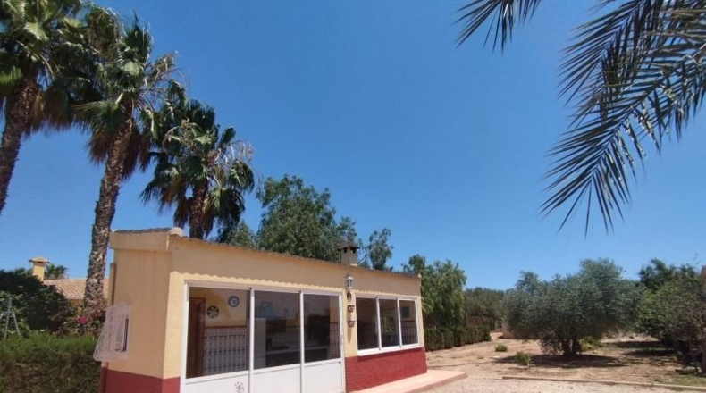 Alicante - Crevillent - 12800m2