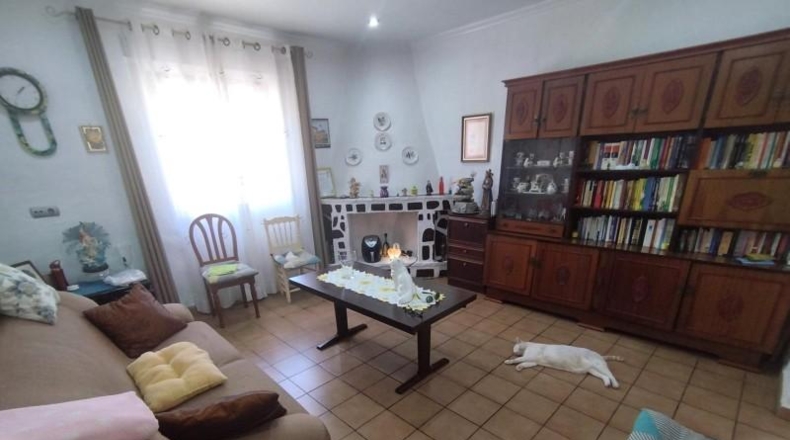 Alicante - Crevillent - 12800m2