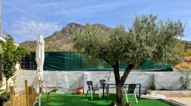 Murcia - Jumilla - 25000m2