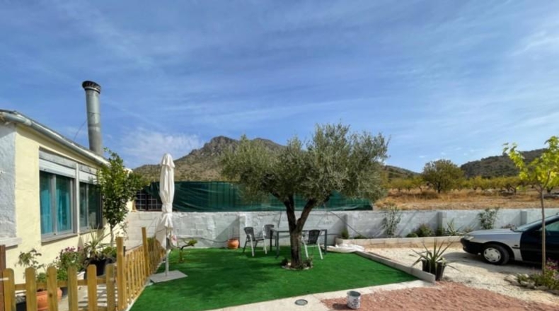 Murcia - Jumilla - 25000m2
