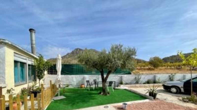 Murcia - Jumilla - 25000m2