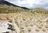Casa de camp amb terreny en venda a la España, Jumella, ref.: TR145478 foto