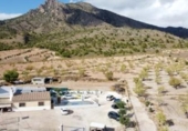 Casa de camp amb terreny en venda a la España, Jumella, ref.: TR145478 foto