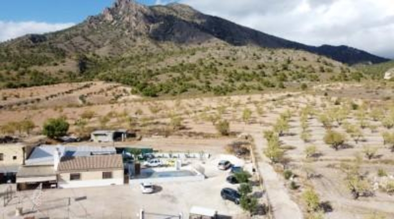 Murcia - Jumilla - 25000m2