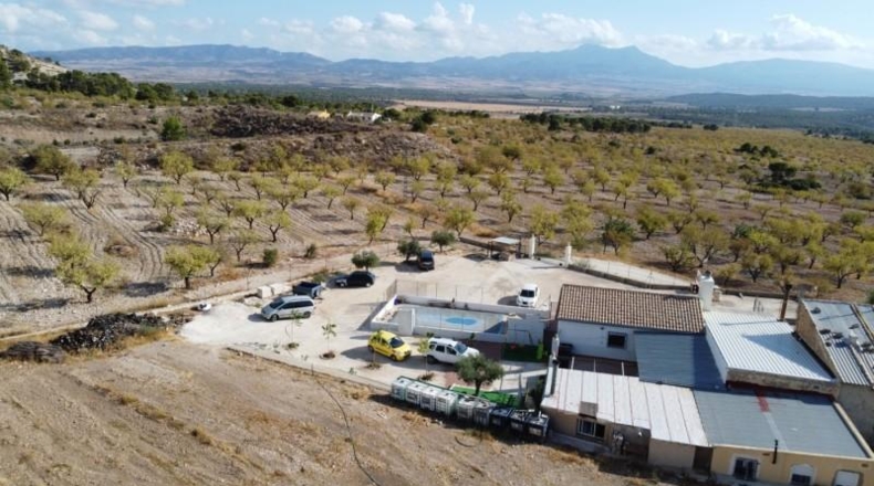Murcia - Jumilla - 25000m2