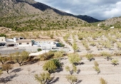 Casa de camp amb terreny en venda a la España, Jumella, ref.: TR145478 foto