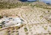 Casa de camp amb terreny en venda a la España, Jumella, ref.: TR145478 foto
