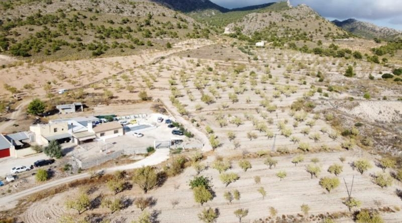 Murcia - Jumilla - 25000m2