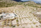 Casa de camp amb terreny en venda a la España, Jumella, ref.: TR145478 foto