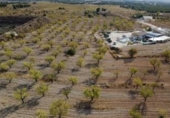 Casa de camp amb terreny en venda a la España, Jumella, ref.: TR145478 foto