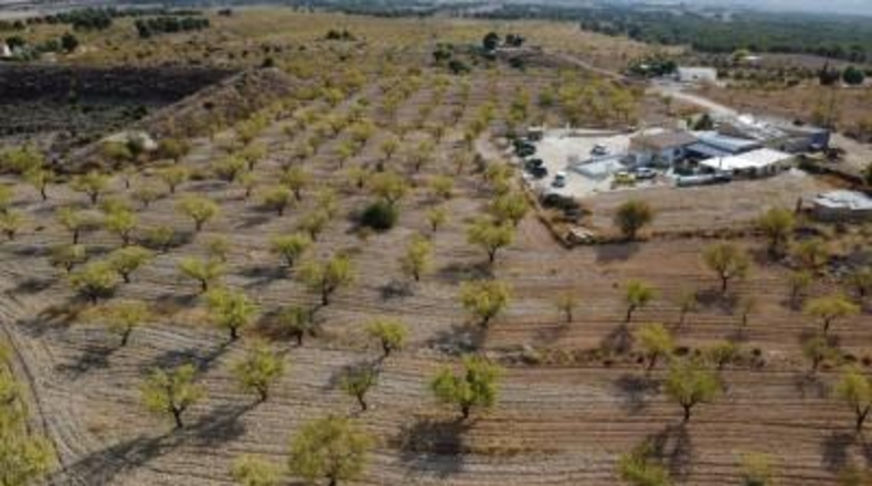 Murcia - Jumilla - 25000m2