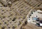 Casa de camp amb terreny en venda a la España, Jumella, ref.: TR145478 foto