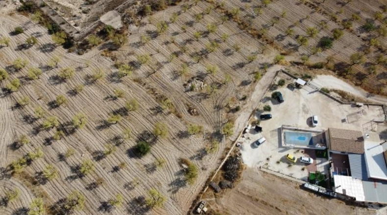 Murcia - Jumilla - 25000m2