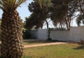 Chalet independiente con terreno en venta en la España, Deltebre, ref: TR135987 foto
