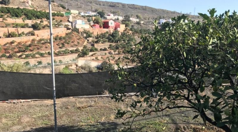 Las Palmas - Telde - 340m2