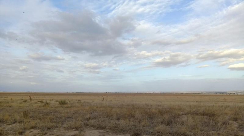 Zaragoza - Villanueva de Gállego - 98481m2