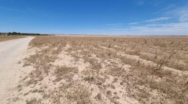 Zaragoza - Villanueva de Gállego - 98481m2