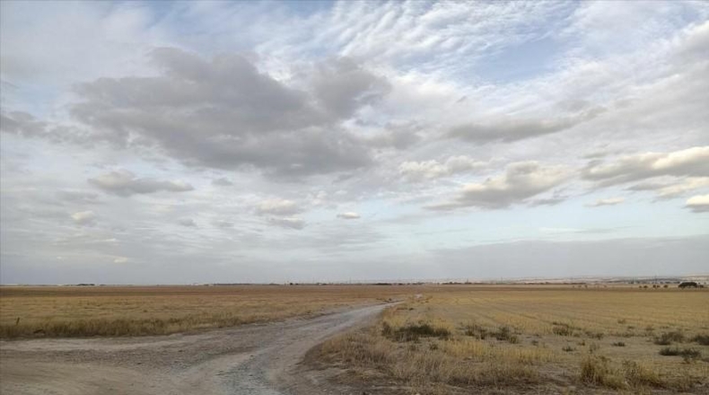 Zaragoza - Villanueva de Gállego - 98481m2