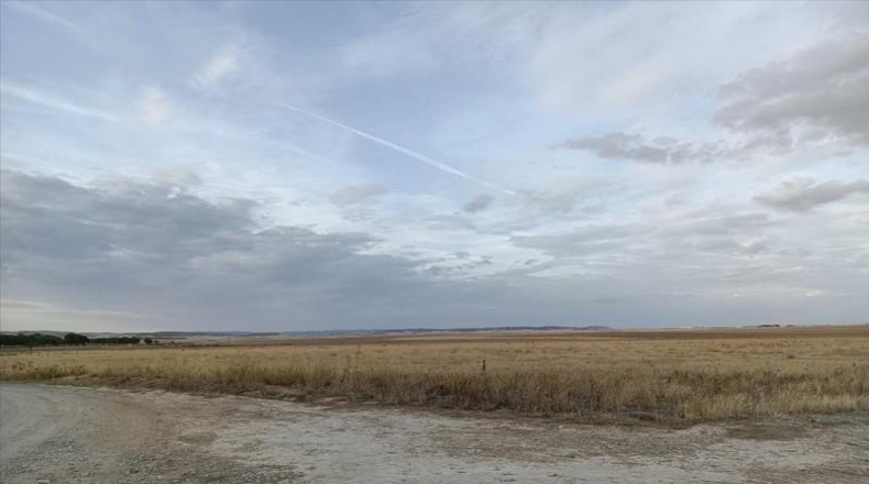 Zaragoza - Villanueva de Gállego - 98481m2