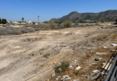 Parcel·la urbanitzable en venda a la España, Múrcia, ref.: TR236646 foto