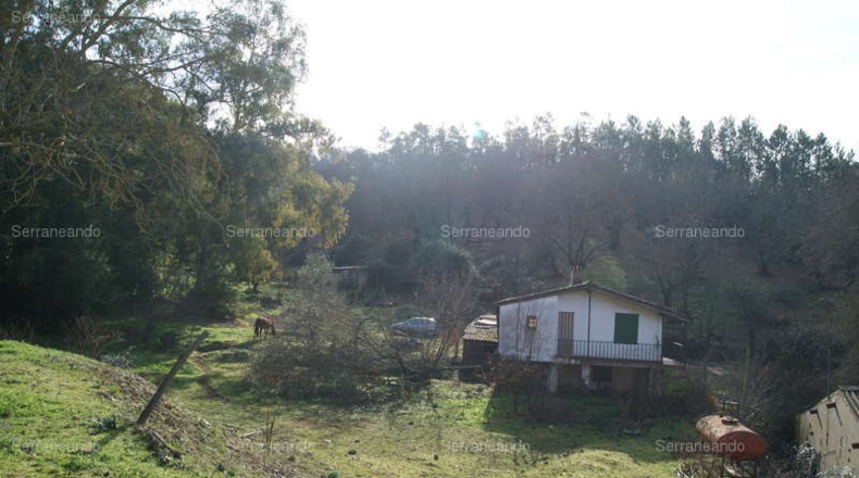 Huelva - Галароса - 88131m2