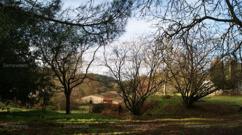 Huelva - Галароса - 88131m2