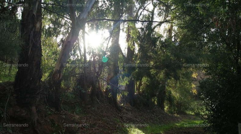 Huelva - Галароса - 88131m2