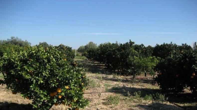 Tarragona - l'Aldea - 6000m2