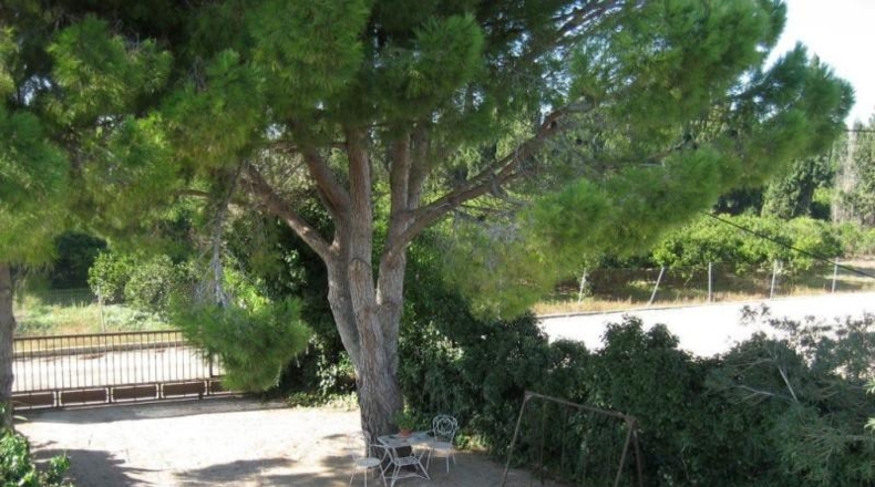Tarragona - l'Aldea - 6000m2