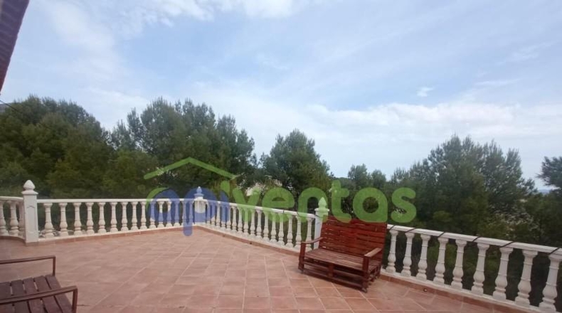 Murcia - Lorca - 20000m2