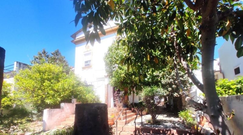 Córdoba - Córdoba - 711m2
