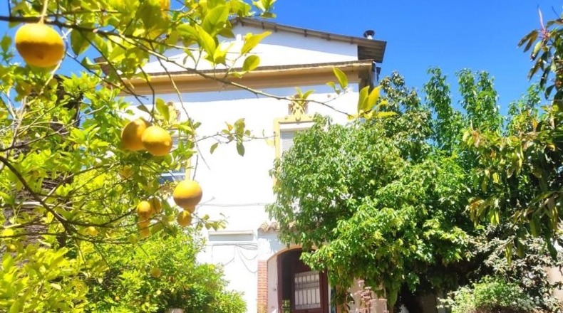 Córdoba - Córdoba - 711m2