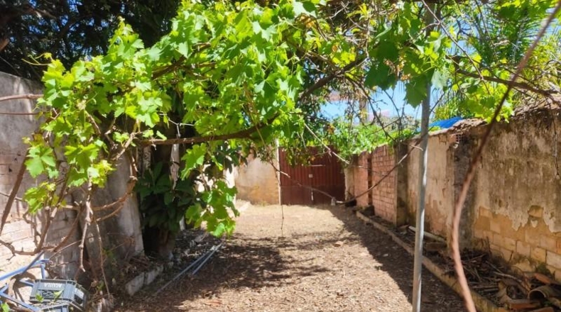 Córdoba - Córdoba - 711m2