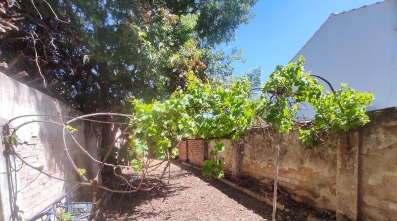Córdoba - Córdoba - 711m2