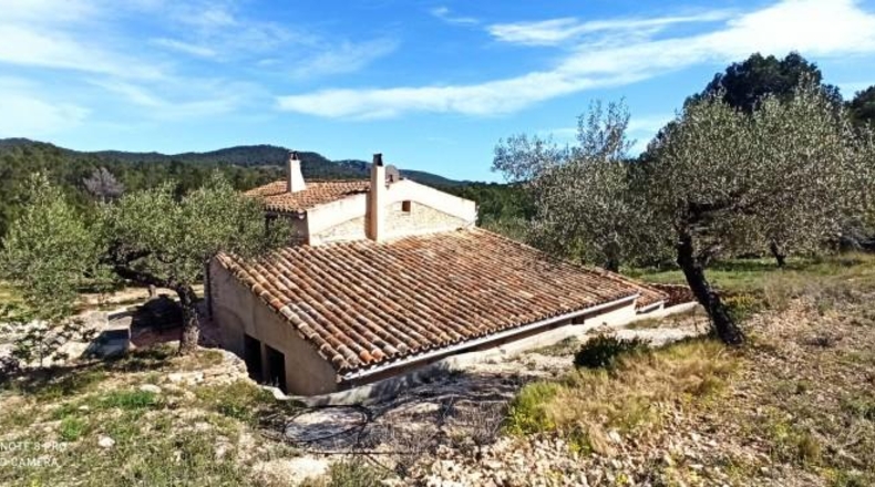 Tarragona - Tivissa - 38000m2